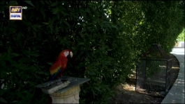 Jaisay Aapki Marzi - Episode 10 - 26th September 2023